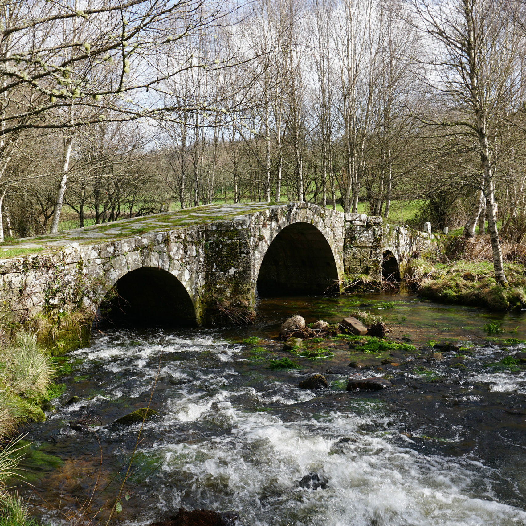 ponte-romana-10